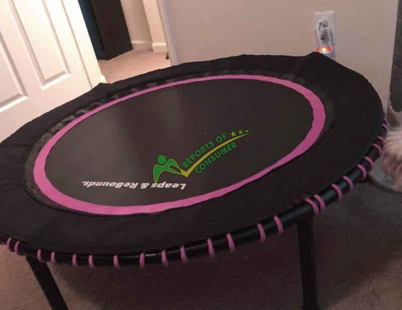 Leaps And Rebounds Mini Trampoline Review Under 500