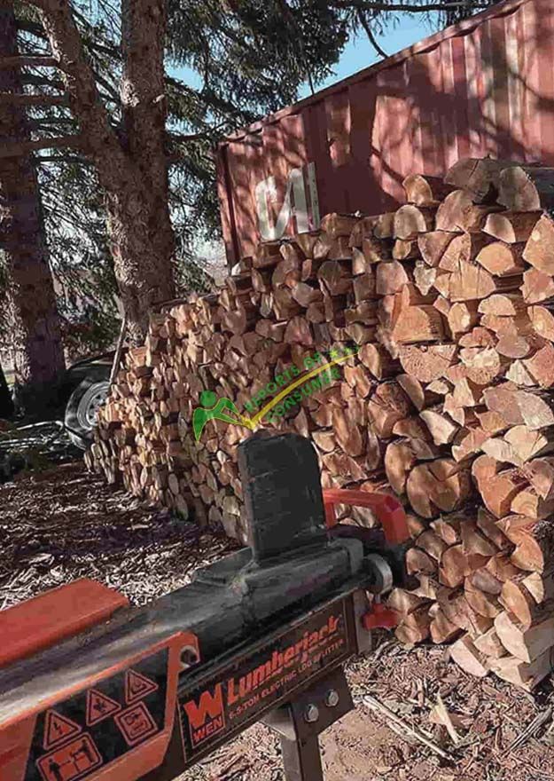 Wen 56207 6.5-Ton Electric Log Splitter With Splitted Logs