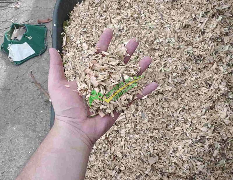 Mulch And Chips Using Powersmart Electric Wood Chipper During Review