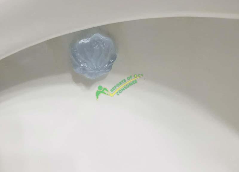 Scrubbing Bubbles Toilet Bowl Cleaning Gel Inside Bowl During Review