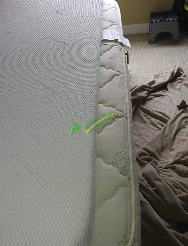 Tempur-Pedic Tempur Supreme 3-Inch Best Orthopedic Mattress Topper For Plus Size Top View Review