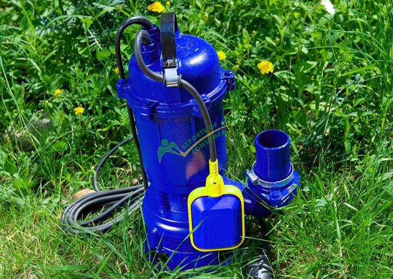 Pedestal Sump Pumps Reviews And Reports