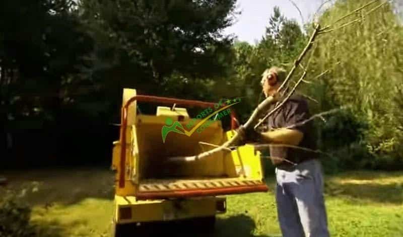 Putting Tree Barks And Bushes Inside A Wood Chipper