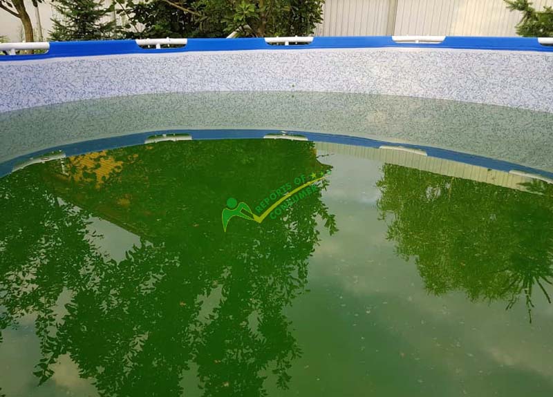 How To Clean An Empty Above Ground Pool With Algae