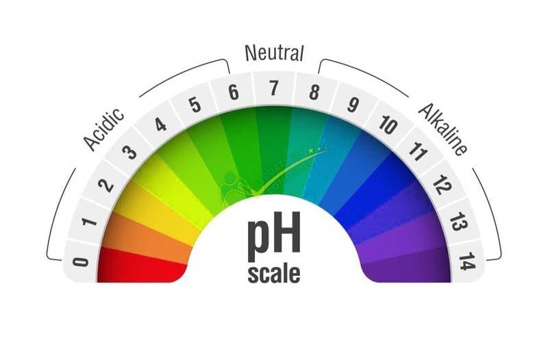 Relation Between Ph And Alkalinity Of A Pool