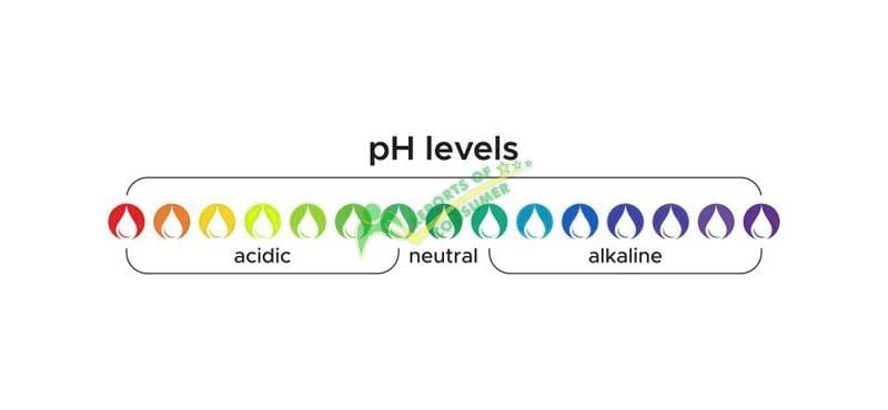 Test And Balance The Pool Water In Ph And Alkalinity