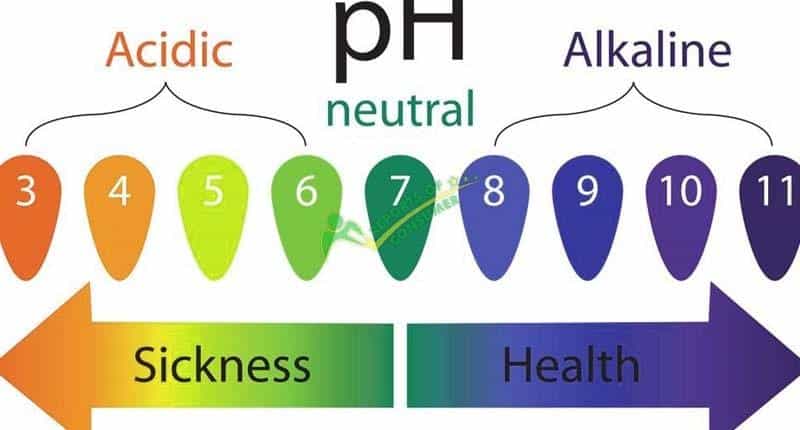 Difference Between Ph And Alkalinity In A Pool