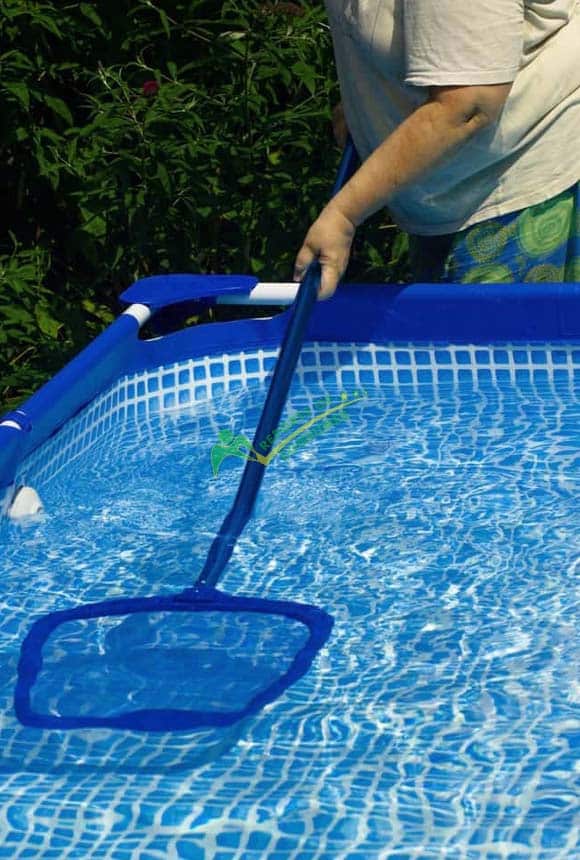 Skimming The Leaves And Debris From The Above Ground Pool To Clean It