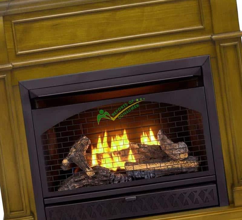 Procom Dual Fuel Ventless Gas Fireplace Review And Reports