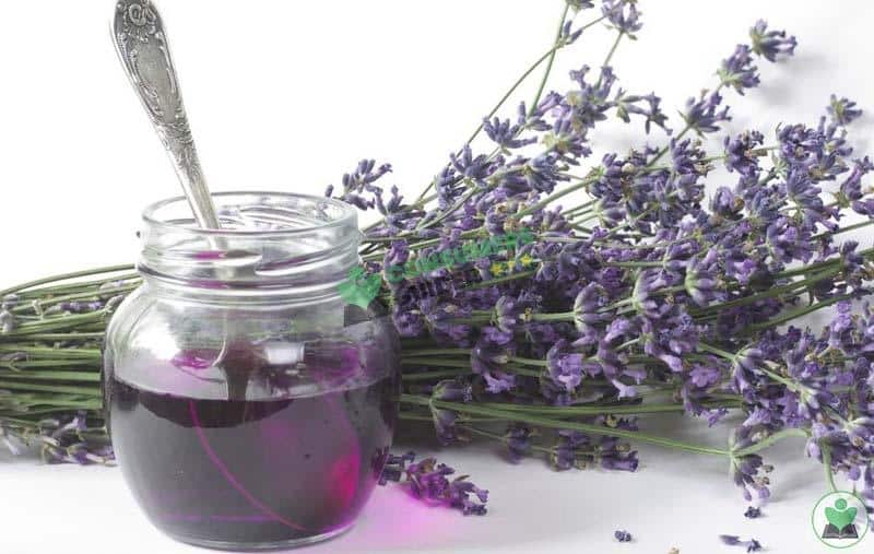 Lavender Syrup To Enhance The Flavor Of Your Iced Coffee