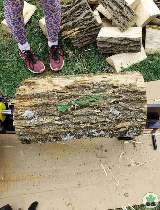 Best Homeowner Log Splitter